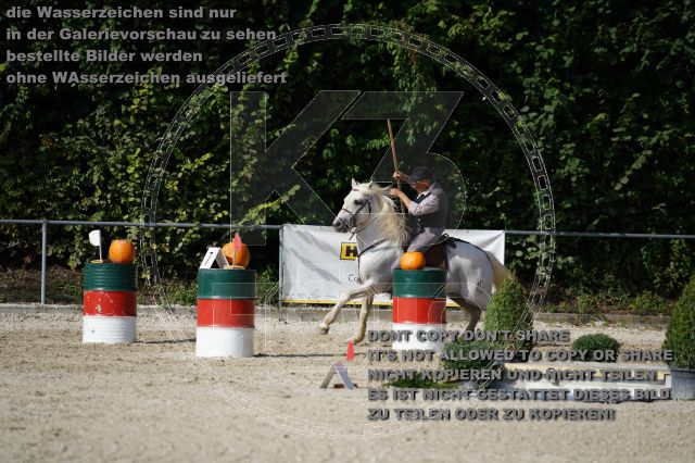 s_K3F04248.JPG